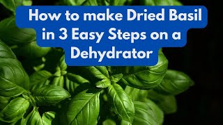 How to make Dried Basil in 3 Easy Steps on a Dehydrator