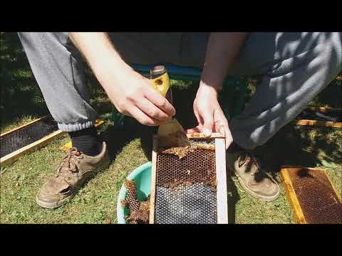 Reformare faguri plastic - Metoda 3 - Metoda "covorasului"