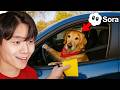 IMPOSSIBLE Try Not To Laugh Challenge