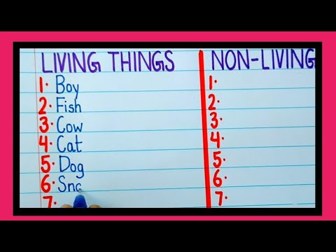 living and non living things names|20 living and non living things