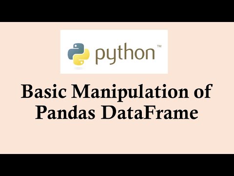 Python Basic Course Basic Manipulation Of Pandas Data Frame