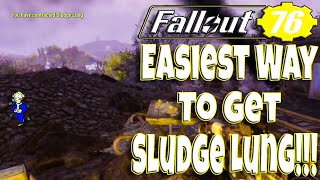 Fallout 76 Easiest Way To Get Sludge Lung Disease!