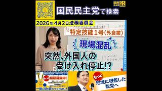 国民民主党 小林さやか 外国人労働者 4月23日