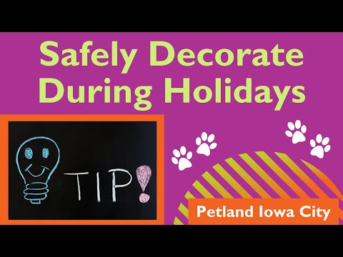 Pet Safety When Holiday Decorating