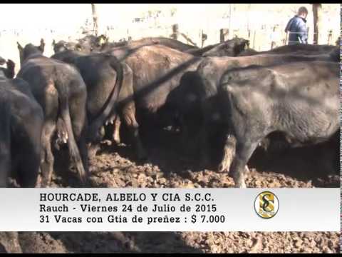 24-07-15 Ventas de Vientres - Hourcade, Albelo y Cia S.C.C. - Rauch
