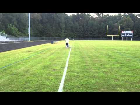 Painting The Field KT