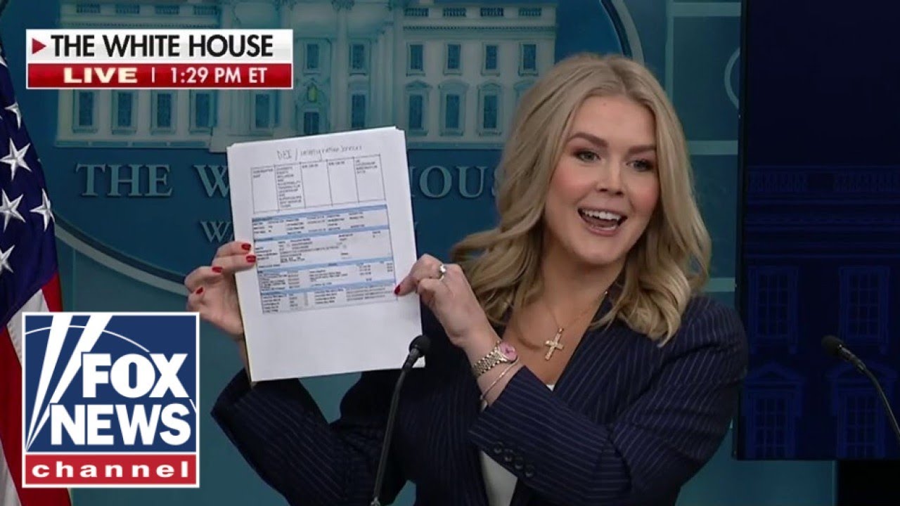 Karoline Leavitt 'brings receipts' as reporter asks for DOGE evidence