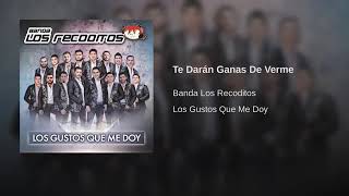 Te Darán Ganas De Verme - Banda Los Recoditos