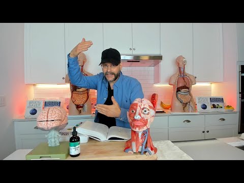 B12 For Your Brain, Soul & Intuition