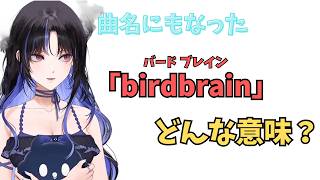 ホロライブで英語学習【"バードブレイン"これどんな意味？】#英語学習  #英語 #ホロライブENGLISH