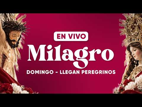 🔴 EN VIVO | LLEGAN LOS PEREGRINOS A LA CATEDRAL · MILAGRO DE SALTA 13/09/2026 🙏