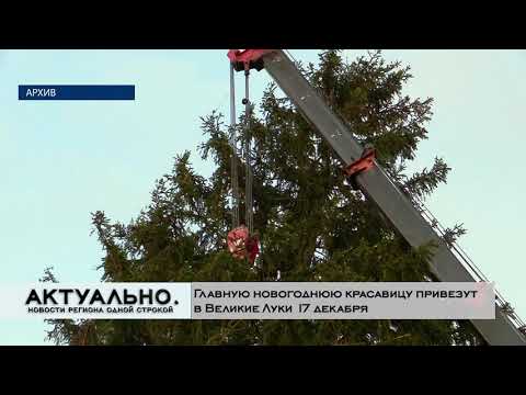 Актуально Великие Луки / 15.12.2020