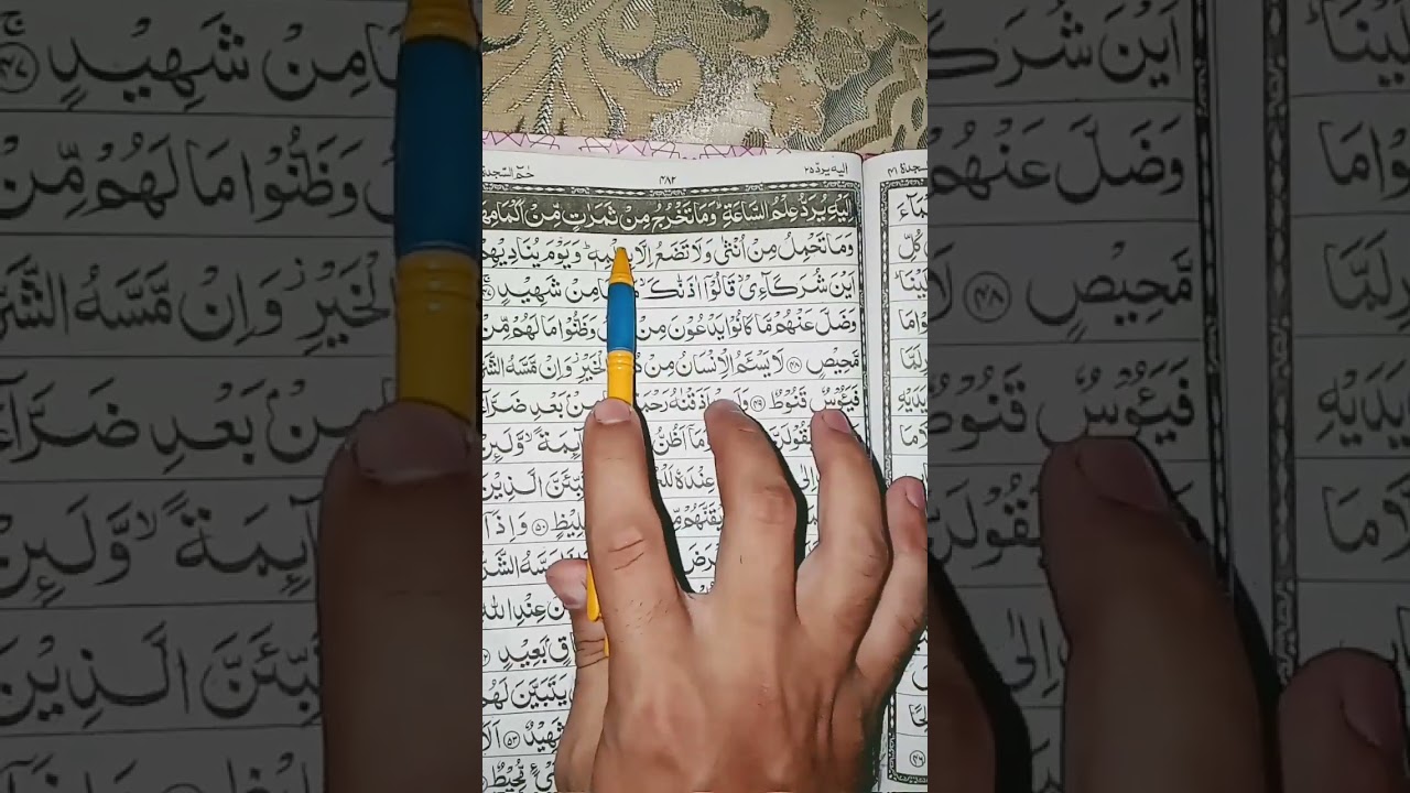 Al Quran📖 Para#25 Surah Ha Mem Sajda ❣️ || Ayat#47 #support #alquran #viralvideo #reaction #shorts