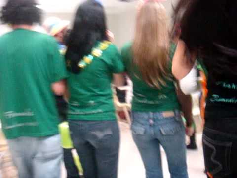 Apitaço Biomedicina Ulbra 2009/2 - Prof Liane