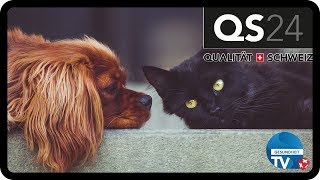 Gesundheit für mein Haustier – von Kopf bis Fuss | Gesundheit | QS24 |