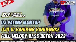Download lagu DJ PAK RIS OJO DI BANDENG BANDENGKE X UDA GEDE MASIK NENEN FULL MELODY PALING MANTAP 2022 mp3