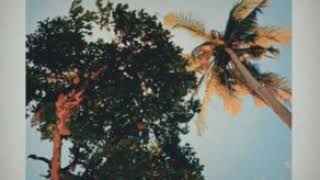 Download lagu STORY WA 30 DETIK MENGAGUMI DIRIMU mp3 Download lagu STORY WA 30 DETIK MENGAGUMI DIRIMU mp3