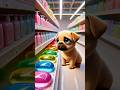 Dog S Secret Bubble Plan Watch Cute Pup Create A Rainbow Bath