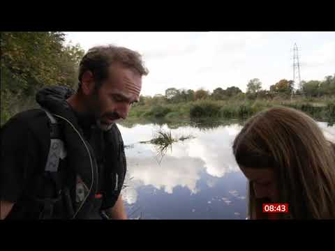 Mystery of eel migration solved