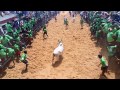 Aavarampatty Jalikkatu 2k17 Karur Vellaiyan S P Kumar S Madu