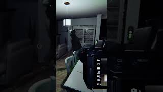 Deo cant play nice #phasmophobia #lol #gaming #funny #shorts #ytshorts #snowballblaster #midwest