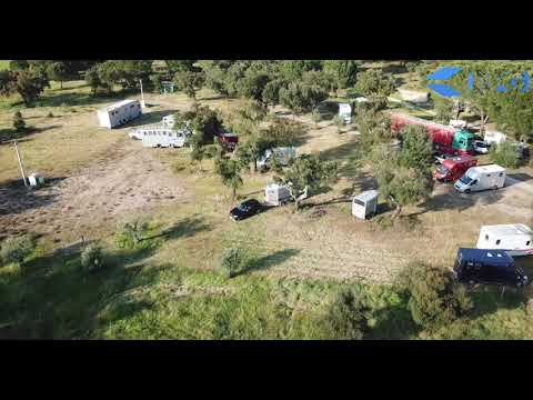 Abrantes CDI 2019 Vetcheck day