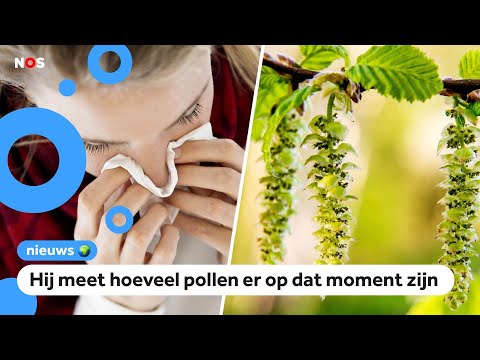Pollenpaal helpt mensen met hooikoorts