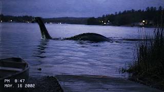 Lake Monster Footage That Experts Are Taking Seriously