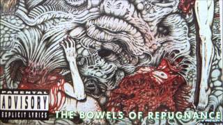 Broken Hope - Waterlogged