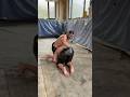 Turkish Traditional Fun Sport Oil Wrestling Funfacts Türkiye Wrestling