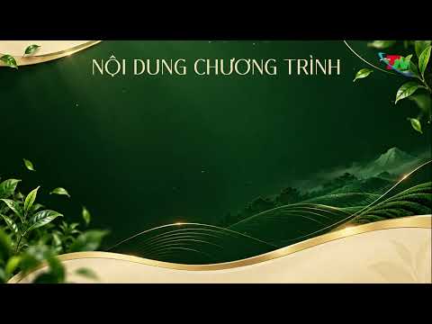 Video nổi bật Festival Trà