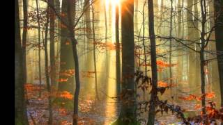 Serenade ~ David Garrett ~