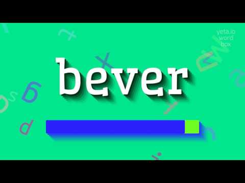How to say "bever"! (High Quality Voices)