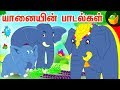 யானையின் பாடல்கள்   | Tamil Rhymes  | Chutti Kutties Tamil Rhymes For Kids