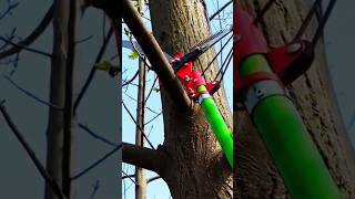 Download lagu Alat Pemotong Ranting Pohon Yang Sangat Keren #shrots mp3