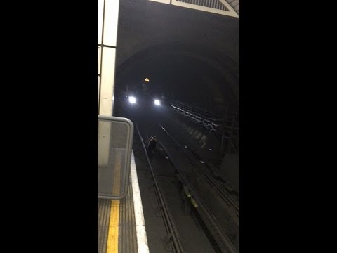 MONSTER RAT in London Underground station
