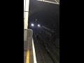 MONSTER RAT In London Underground Station
