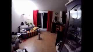 Best Vines || *NEW* Plate of Shrimp || 2014