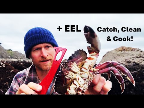 Coastal Forage SF Bay Area: Catch Clean Cook EEL & Crab