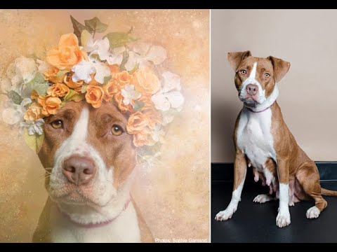 download lagu mp3 mp4 Mashable Instagram, download lagu Mashable Instagram gratis, unduh video klip Mashable Instagram