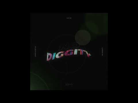HÄWK (IT) & BEYGE - No Diggity [DistroKid]