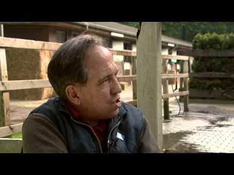 Pferdewetten.de Stallcheck Mario Hofer