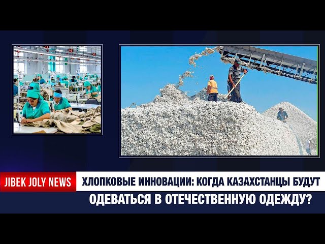 Туркестан собирает большой урожай хлопка