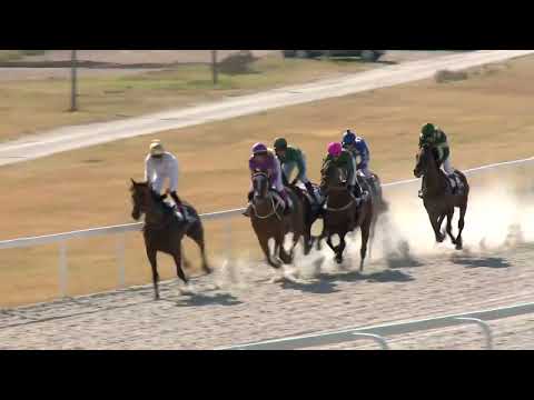 2022.07.24. 06. futam - NÉMETH FERENC EMLÉKKUPA III. FUTAMA HENDIKEP (V.o.)(szintetikus pálya)