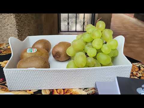 Каникулы. Center parcs. Визит на Лиможскую фабрику Jacques Pergay . Посещение музея Adrien Dubouché