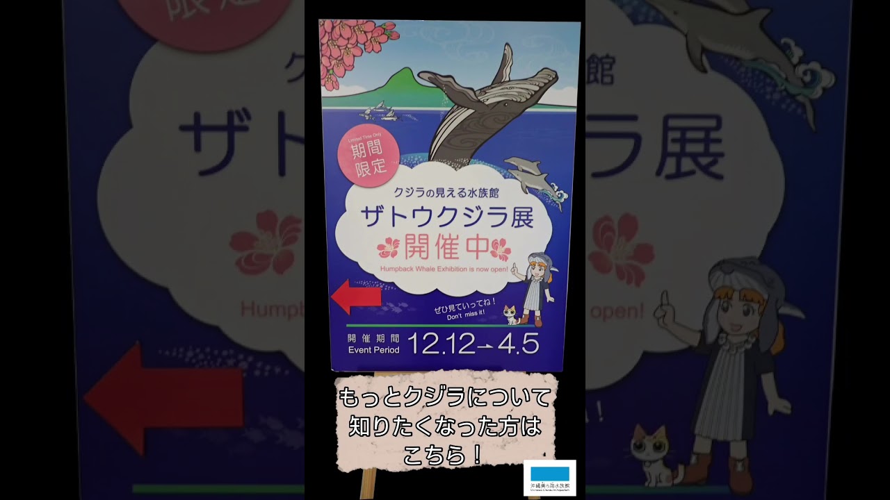 美ら海クラフト「大きさくらべぬりえ」