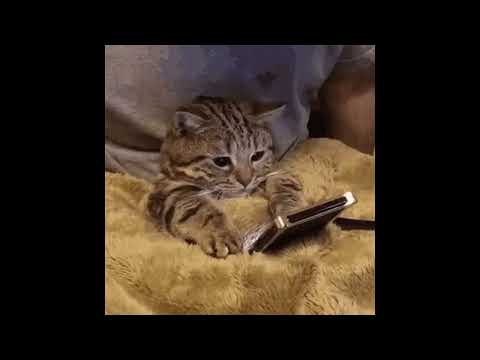 benuebermensch - Untitled 01