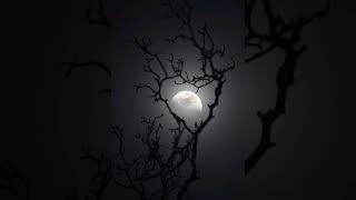 Download lagu Free Nationals - Eternal Light (feat. Chronixx) mp3