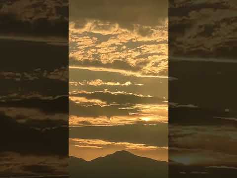 “Rise up and embrace the day; the sun is ready to shine.”