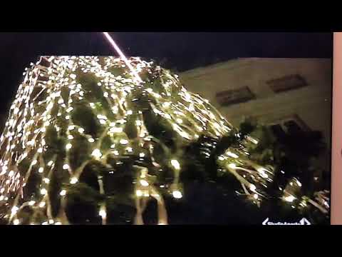 IL PANETTONE SOTTO L OMBRELLONE